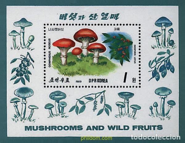 Sellos: 37489 MNH COREA DEL NORTE 1989 SETAS
