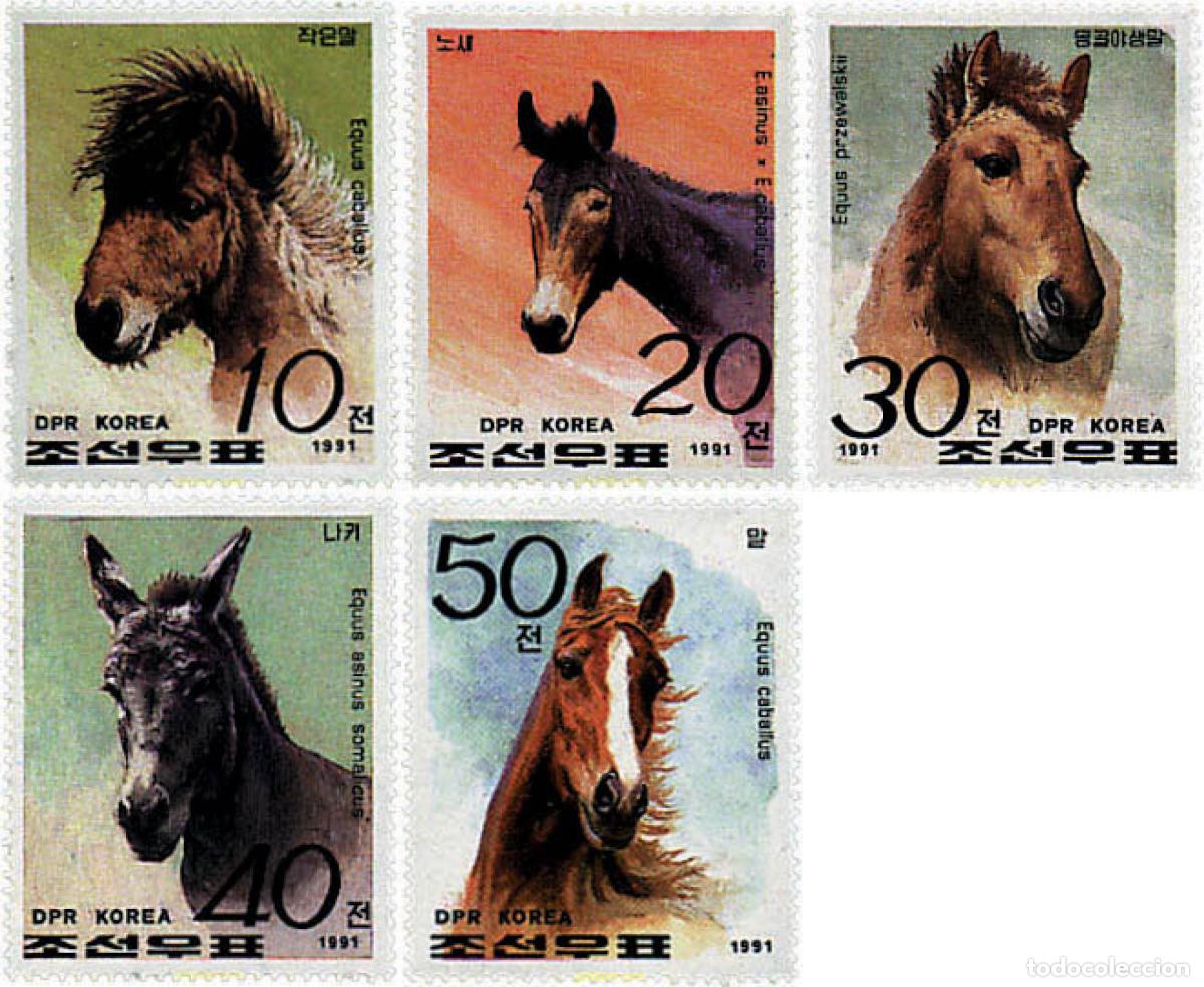 Sellos: 30387 MNH COREA DEL NORTE 1991 CABALLOS