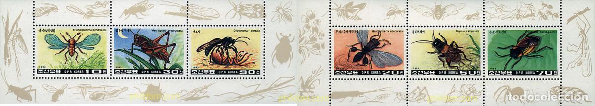 Briefmarken: 11063 MNH COREA DEL NORTE 1993 INSECTOS
