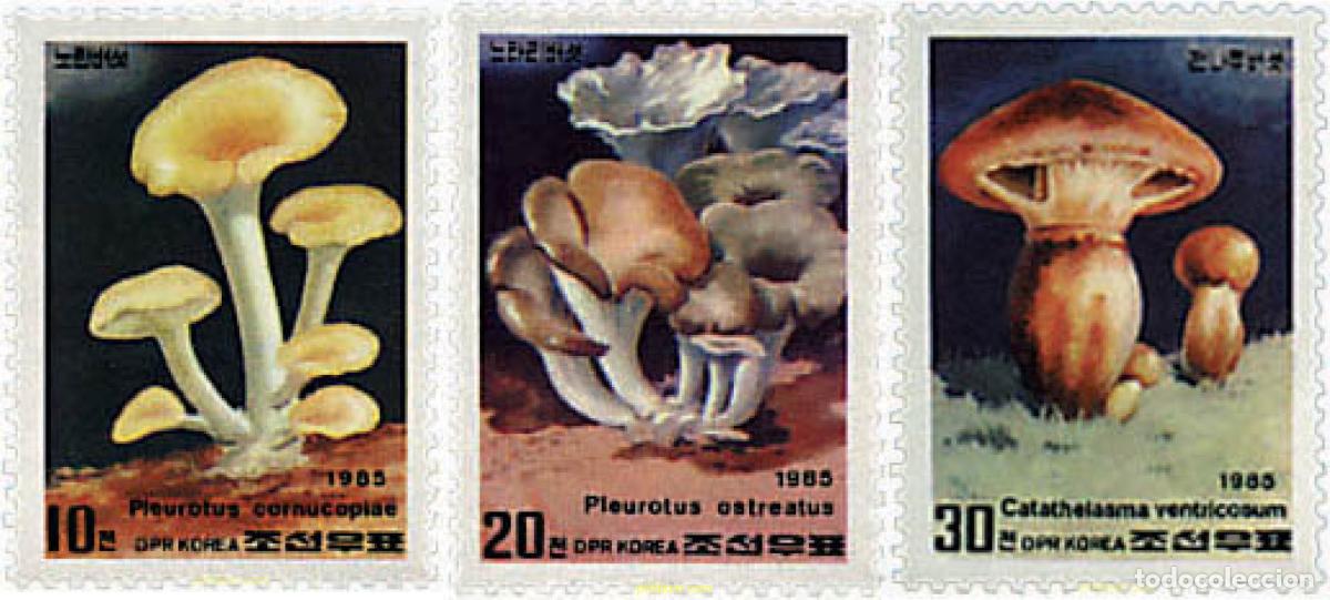Selos: 37511 MNH COREA DEL NORTE 1985 SETAS