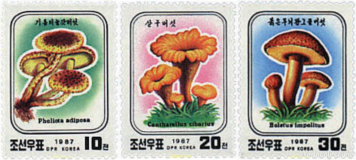 Francobolli: 37512 MNH COREA DEL NORTE 1987 SETAS