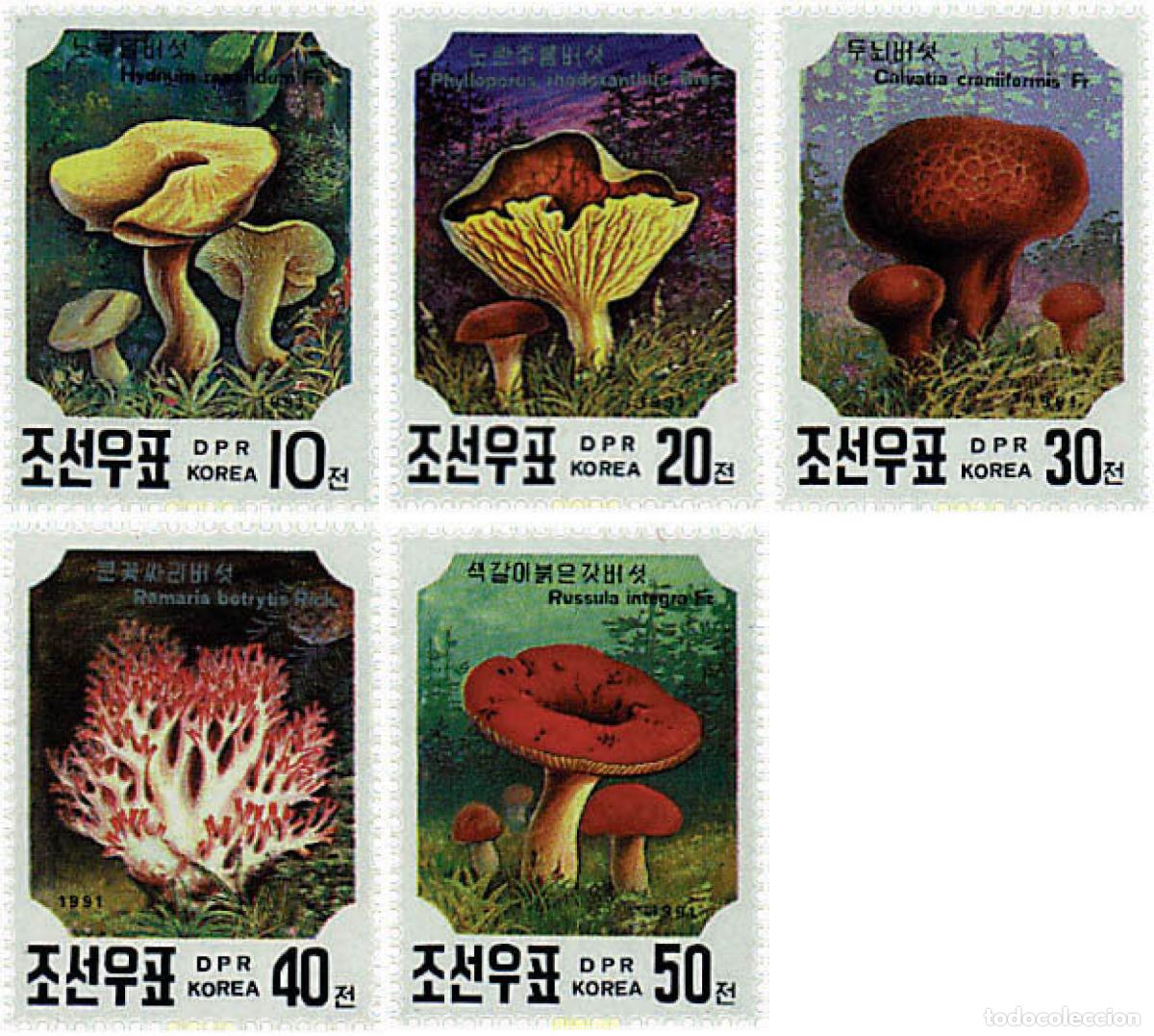 Selos: 37514 MNH COREA DEL NORTE 1991 SETAS