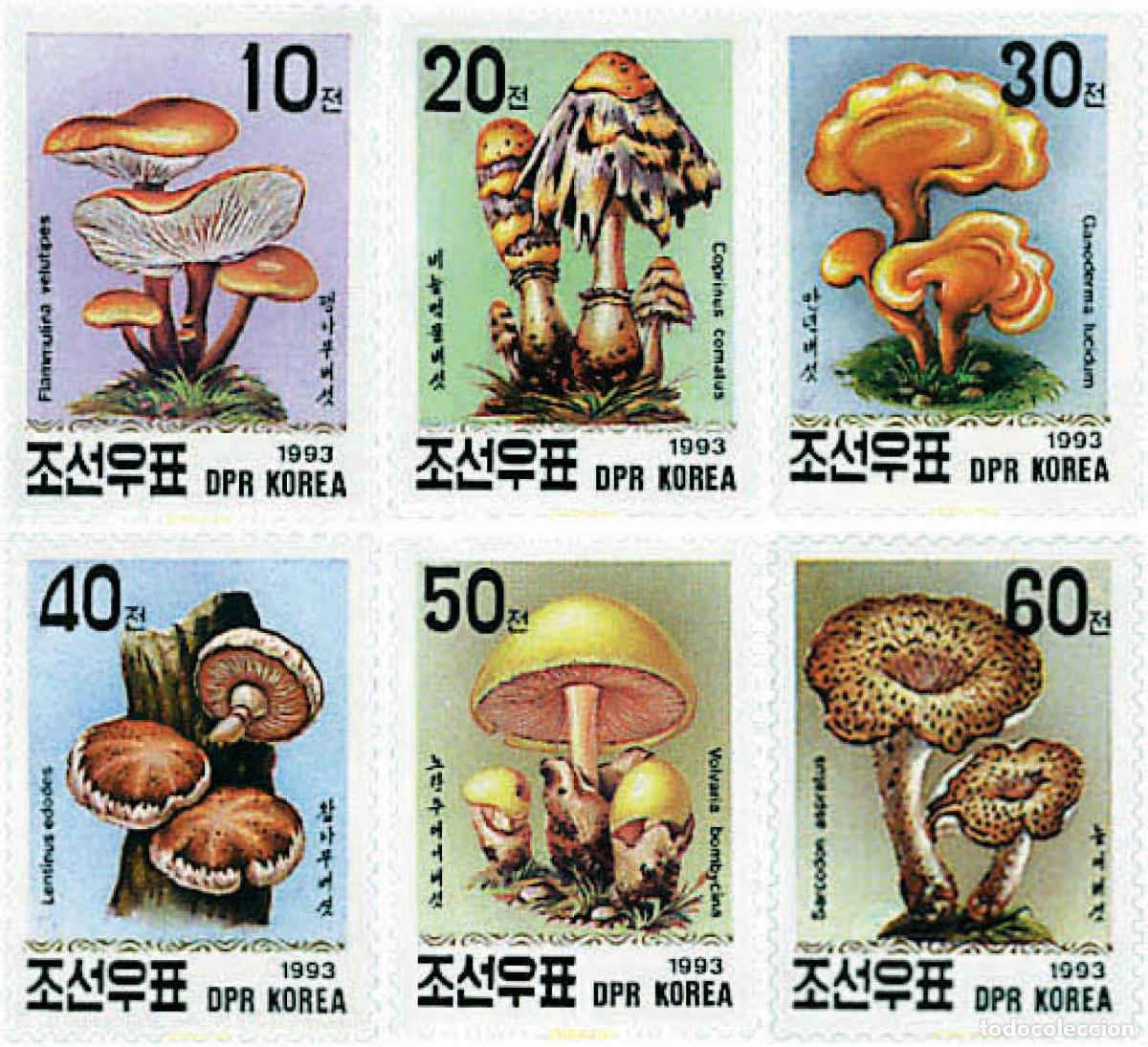 Selos: 36232 MNH COREA DEL NORTE 1993 SETAS