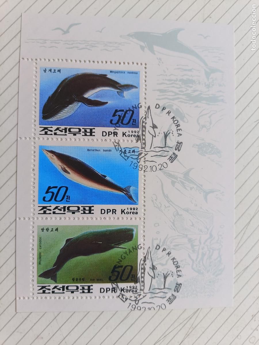 Briefmarken: Korea del Norte. Ballenas. Hojita bloque