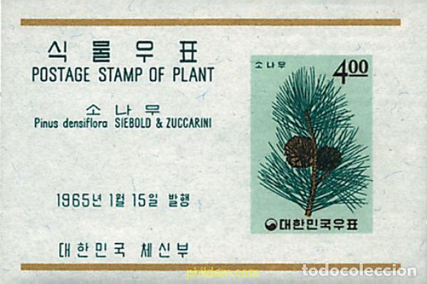 Sellos: 84156 MNH COREA DEL SUR 1965 PLANTAS