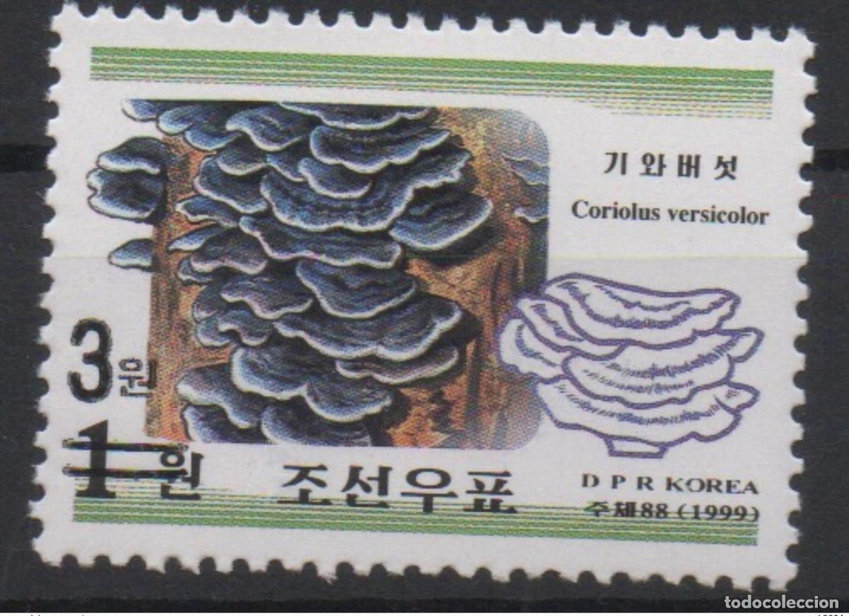 Sellos: Korea 2006 Mi. 5070 Sobreimpresi&oacute;n Flora Mushroom Pilz MNH RARE