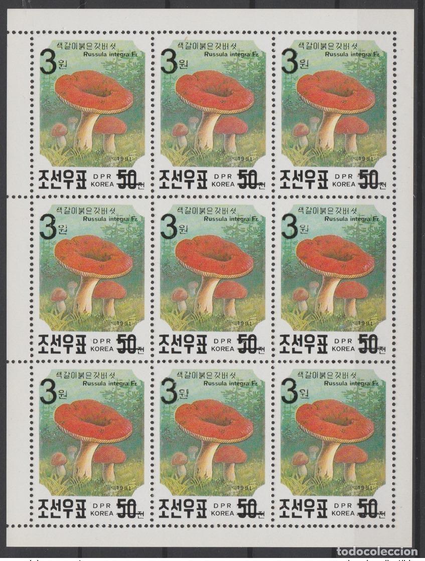 Sellos: Korea 2006 Mi. 5052 hoja SOBREIMPRESI&Oacute;N Flora Mushroom Pilz MNH RARE