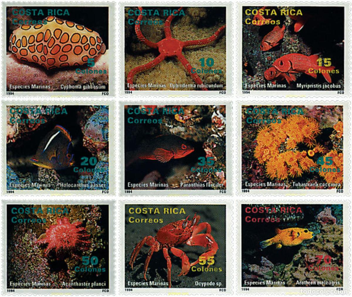 Sellos: 28564 MNH COSTA RICA 1994 FAUNA MARINA