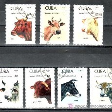 Sellos: CUBA 1679/85 USADA, FAUNA, RAZAS . Lote 21910426
