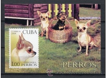 Sellos: CUBA 2008 - PERROS - CHIENS - DOGS - BLOCK - Foto 1