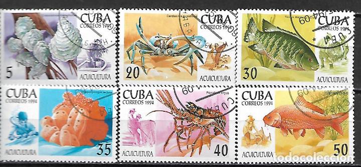 Sellos: CUBA SERIE COMPLETA MATASELLADA DE 1994 - Foto 1