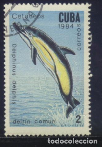 Sellos: S-01083- CUBA. DELFIN COMUN. - Foto 1