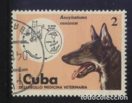 Sellos: S-01833- CUBA. PERROS. - Foto 1