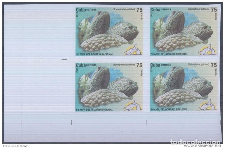 Sellos: 2010.357 CUBA MNH PROOF ERROR BLOCK. FISH. PECES. - Foto 1