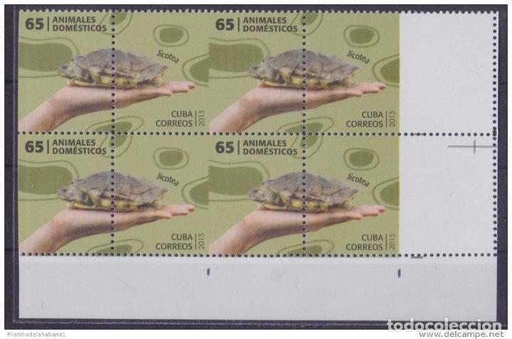 Sellos: 2013.390 CUBA 2013 PROOF ERROR MNH TORTUGA TOURTLES - Foto 2