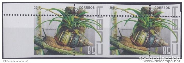 Timbres: 2011.335 CUBA 2011 MNH PERFORATION ERROR. FAUNA SNAIL CARACOL. PAIR.