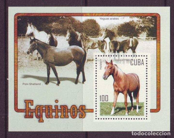Sellos: 2005-25 CUBA MNH CABALLOS DE RAZA - Foto 2