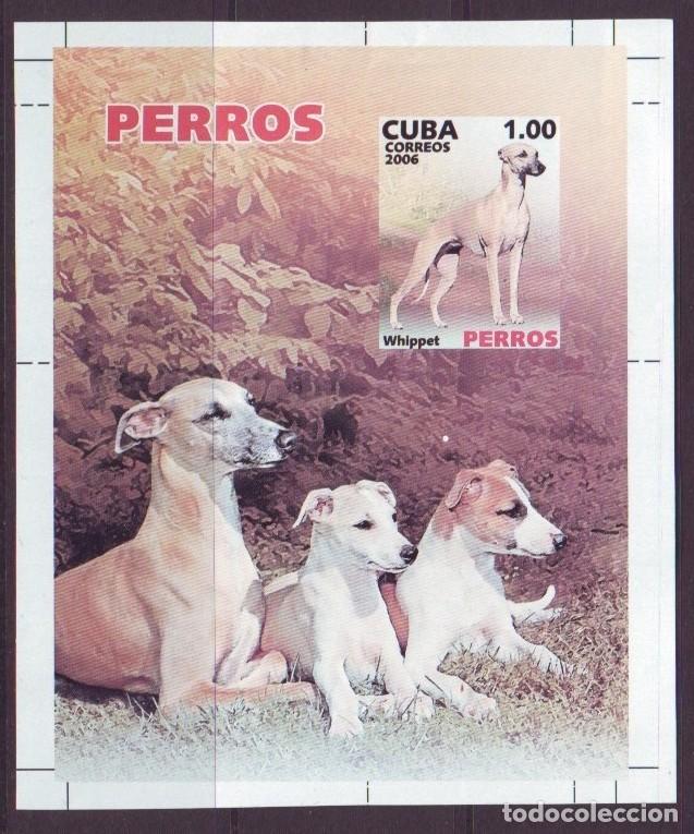 Sellos: 2006-48 CUBA Perros de raza. error de corte y sin perforacion. - Foto 2