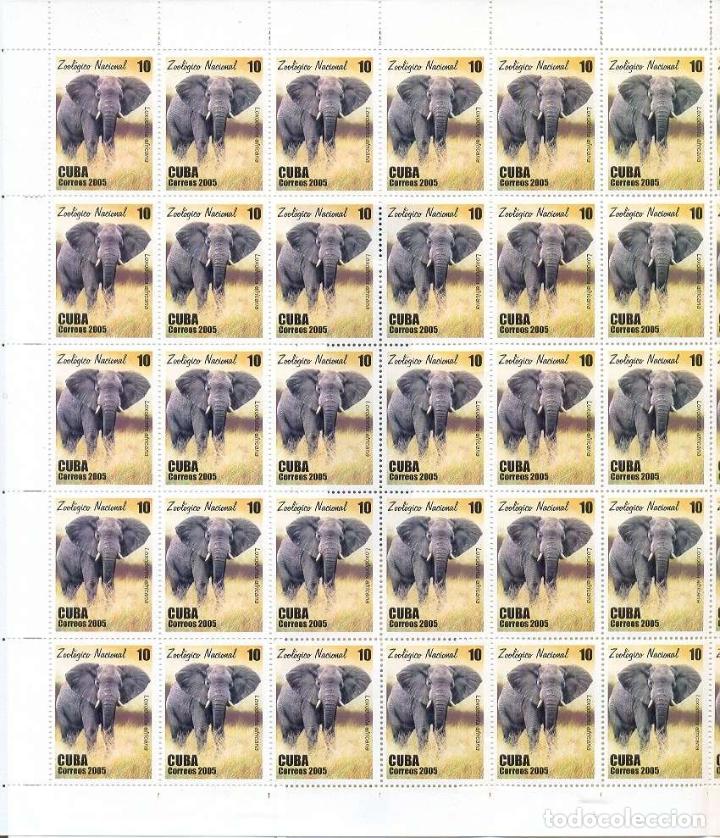 Timbres: 2005.524 CUBA COMPLETE MNH SHEET 2005 ZOO ELEPHANT LION
