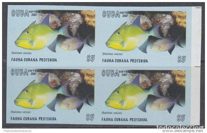 Sellos: 2007.301CUBA MNH PROOF ERROR BLOCK. PECES. FISHS. - Foto 2