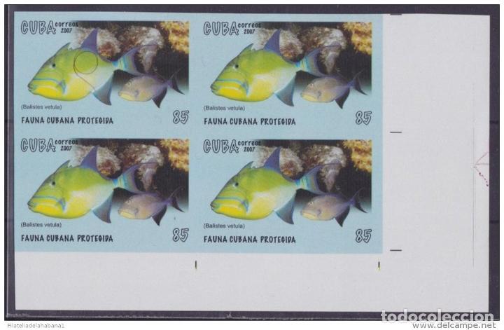 Sellos: 2007.375 CUBA 2007 PROOF ERROR MNH PECES FISH BULL - Foto 1