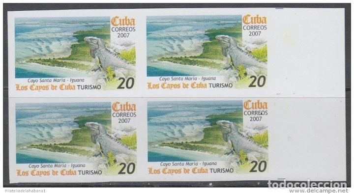 Sellos: 2007.304 CUBA MNH PROOF ERROR BLOCK. IGUANA. LIZARD. SAURIUS - Foto 1
