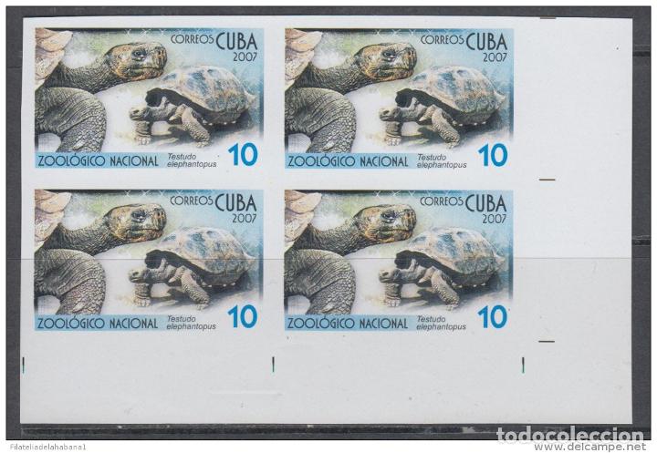 Sellos: 2007.310 CUBA MNH PROOF ERROR BLOCK. ORANGUTAN. MONKEY. - Foto 1