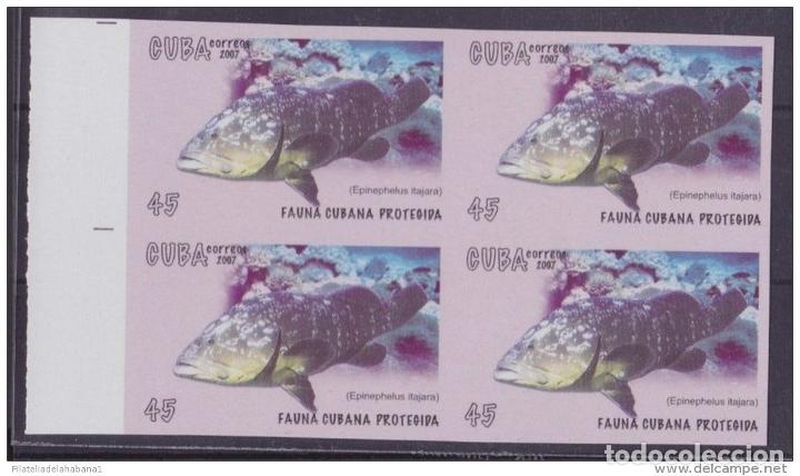 Sellos: 2007.376 CUBA 2007 PROOF ERROR MNH PECES FISH. - Foto 2