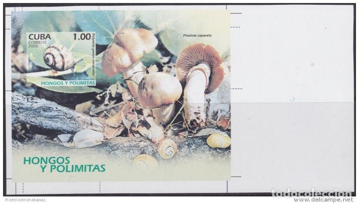 Selos: 2005.257 CUBA 2005 MNH SPECIAL SHEET IMPERFORATED PROOF HONGOS Y POLIMITAS MUSHROOMS SNAILS.