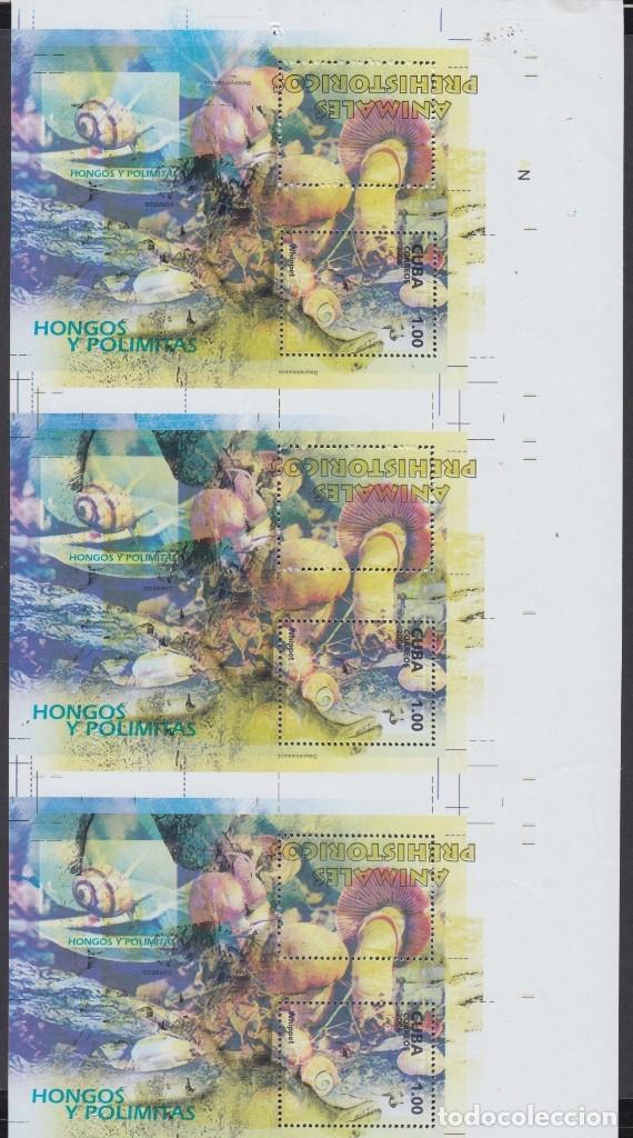 Briefmarken: 2006.486 CUBA (LG1470) 2006 MNH IMPERFORATED SHEET. FUNGUS HONGOS MUSHROOMS.