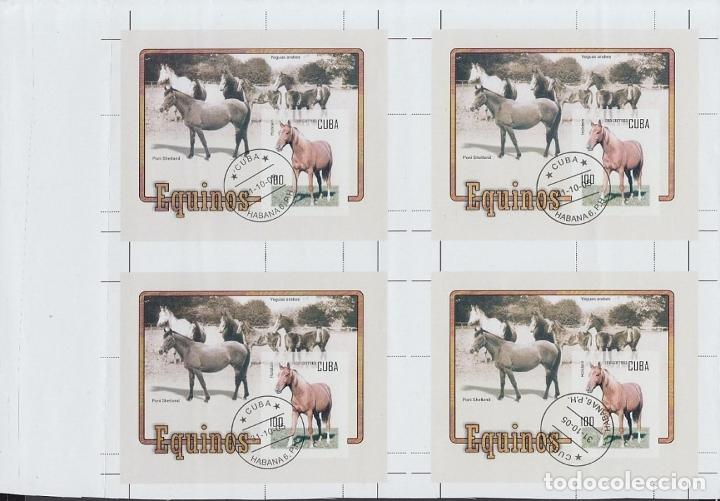 Stamps: 2005.362 CUBA (LG1543) 2005 MNH USED PROOF. EQUINOS, CABALLOS, HORSE BLOCK 4.