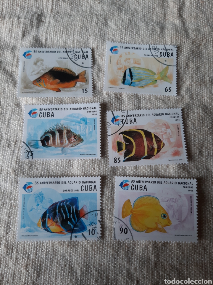 Sellos: Cuba 1995 serie completa Peces - Foto 1