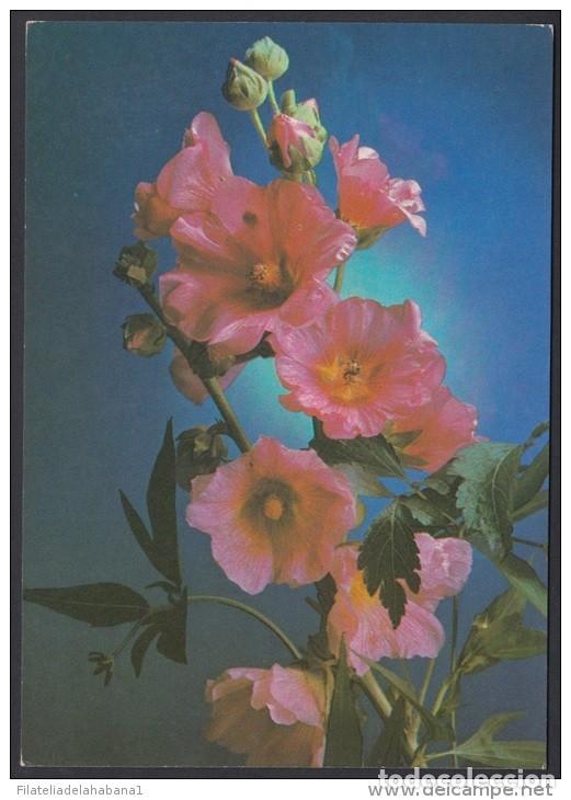 Stamps: &rdquo;1987-EP-137 CUBA 1987. Ed.141j. MOTHER DAY SPECIAL DELIVERY. POSTAL STATIONERY. FLORES. FLOWERS. UN