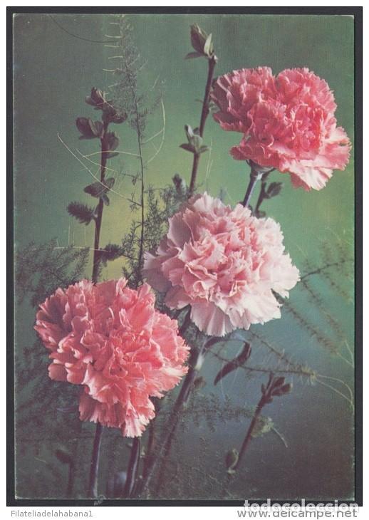 Stamps: &rdquo;1987-EP-134 CUBA 1987. Ed.142b. MOTHER DAY SPECIAL DELIVERY. POSTAL STATIONERY. FLORES. FLOWERS. UN