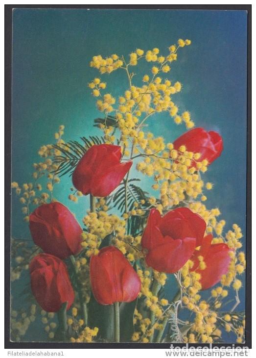 Timbres: &rdquo;1987-EP-136 CUBA 1987. Ed.141f. MOTHER DAY SPECIAL DELIVERY. POSTAL STATIONERY. FLORES. FLOWERS. UN