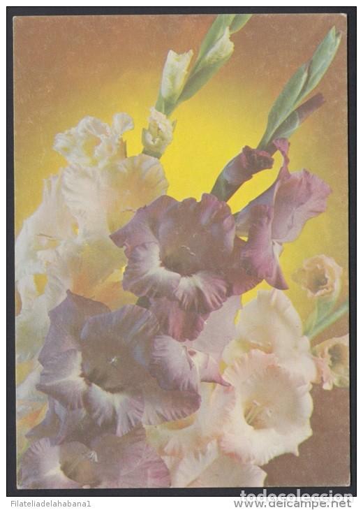 Briefmarken: &rdquo;1987-EP-147 CUBA 1987. Ed.143b. MOTHER DAY SPECIAL DELIVERY. POSTAL STATIONERY. FLORES. FLOWERS. UN