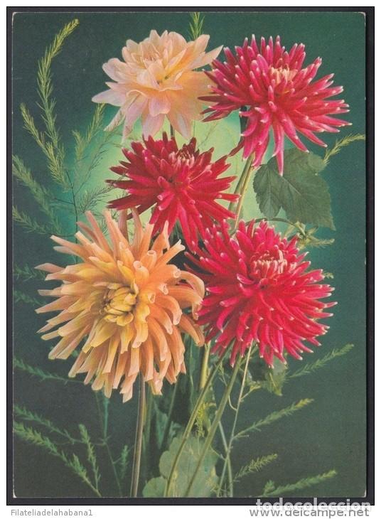 Briefmarken: &rdquo;1987-EP-133 CUBA 1987. Ed.141b. MOTHER DAY SPECIAL DELIVERY. POSTAL STATIONERY. FLORES. FLOWERS. UN