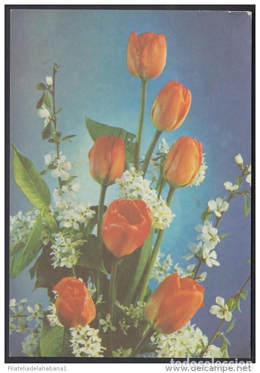 Briefmarken: &rdquo;1987-EP-143 CUBA 1987. Ed.143a. MOTHER DAY SPECIAL DELIVERY. POSTAL STATIONERY. FLORES. FLOWERS. UN