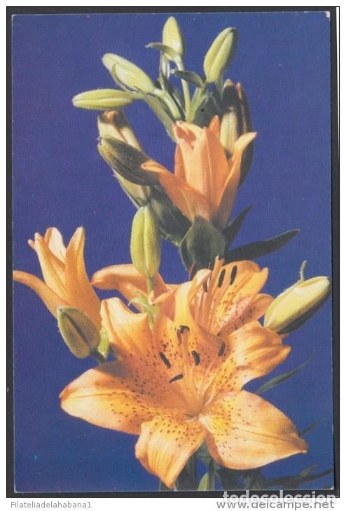 Briefmarken: &rdquo;2000-EP-69 CUBA 2000. Ed.46o. MOTHER DAY SPECIAL DELIVERY. POSTAL STATIONERY. FLORES AMARILLAS. FLO