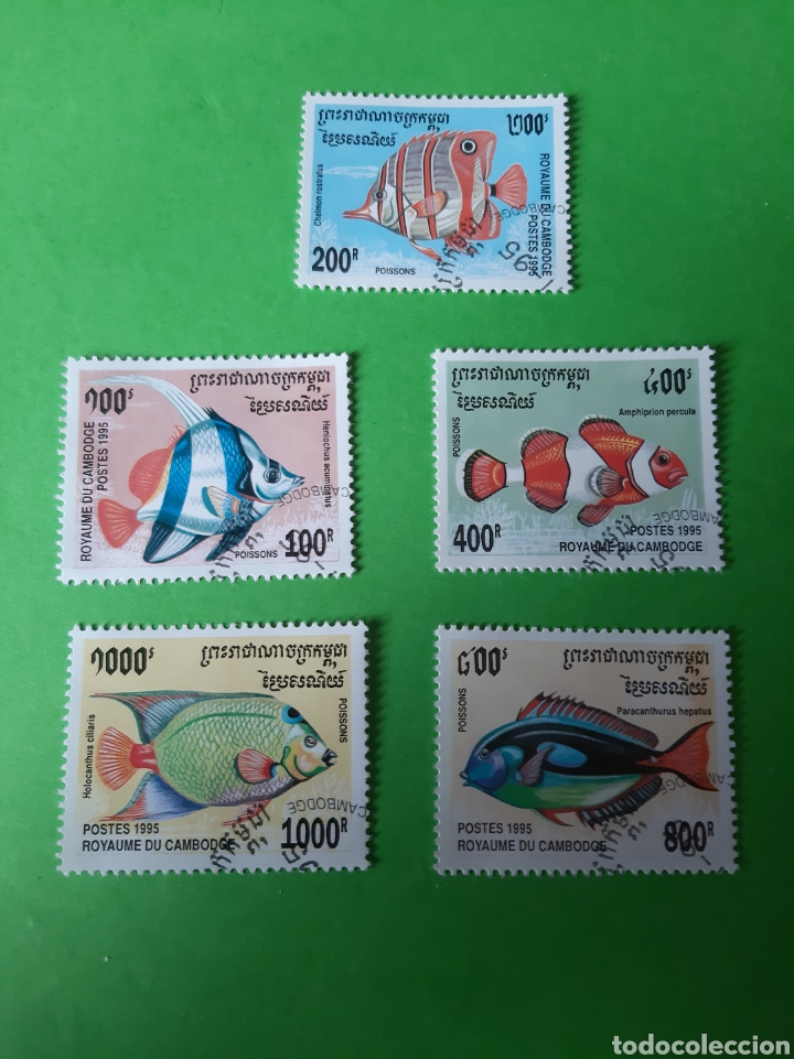 Sellos: 1995 Cuba serie peces 3431/36 - Foto 1