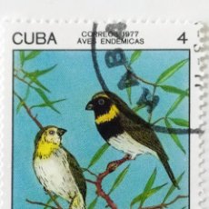 Sellos: SELLO DE CUBA 4 C - 1977 - PAJAROS TOMEGUIN - USADO SIN SEÑAL DE FIJASELLOS