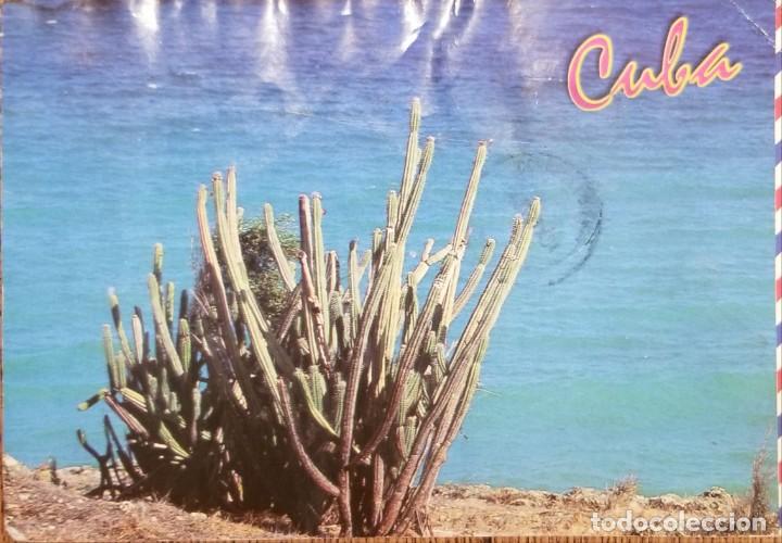 Sellos: O) CUBA, CACTUS, POSTAL - Foto 1
