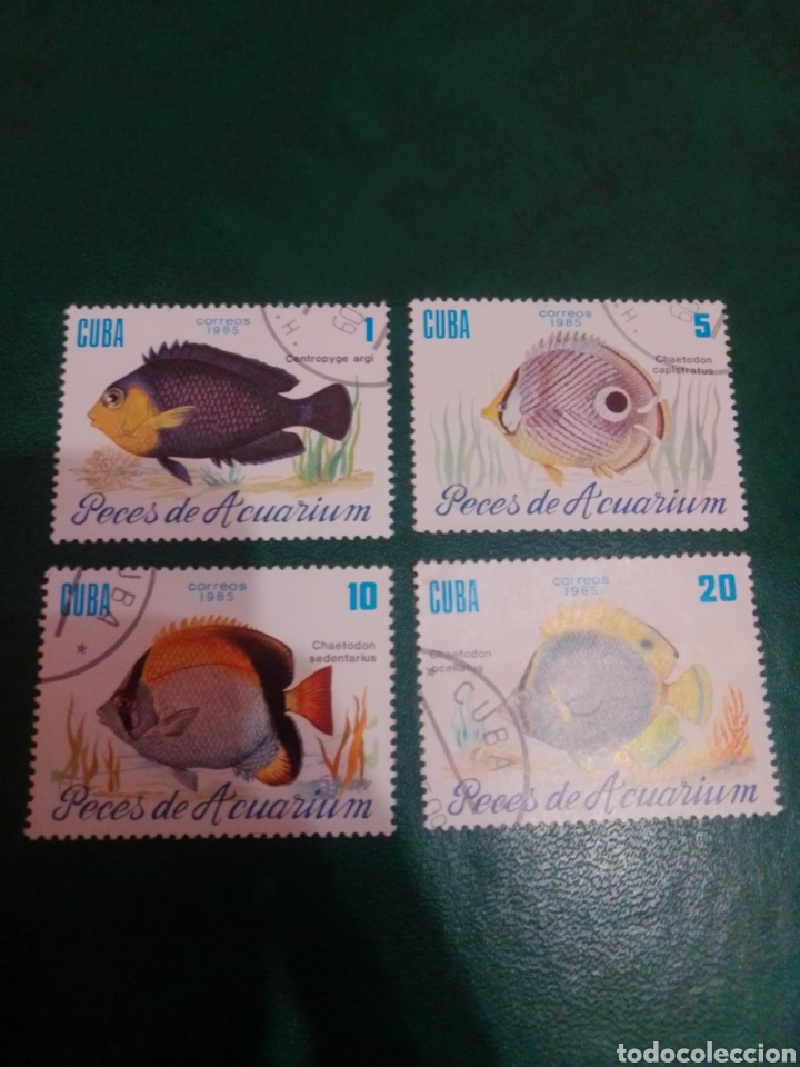 Sellos: Cuba peces - Foto 1