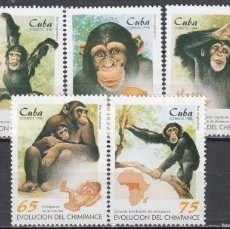 Sellos: CUBA 1998 - YVERT 3713/3717 ** NUEVO SIN FIJASELLOS - FAUNA. EVOLUCIÓN DEL CHIMPANCÉ. Lote 401441869