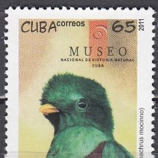 Sellos: CUBA 2011 - YVERT 4981 ** NUEVO SIN FIJASELLOS - FAUNA AVES. MUSEO HISTORIA NATURAL. Lote 402113369