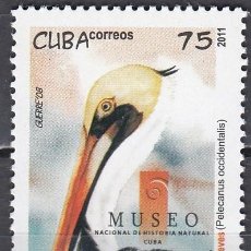 Sellos: CUBA 2011 - YVERT 4982 ** NUEVO SIN FIJASELLOS - FAUNA AVES. MUSEO HISTORIA NATURAL. Lote 402113424