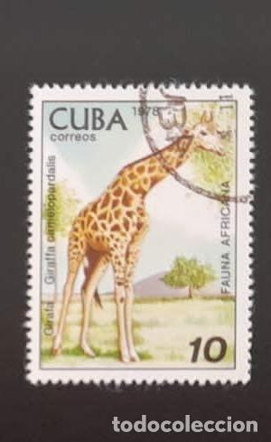 Sellos: SL) 1978 CUBA GIRAFFE USED - Foto 1
