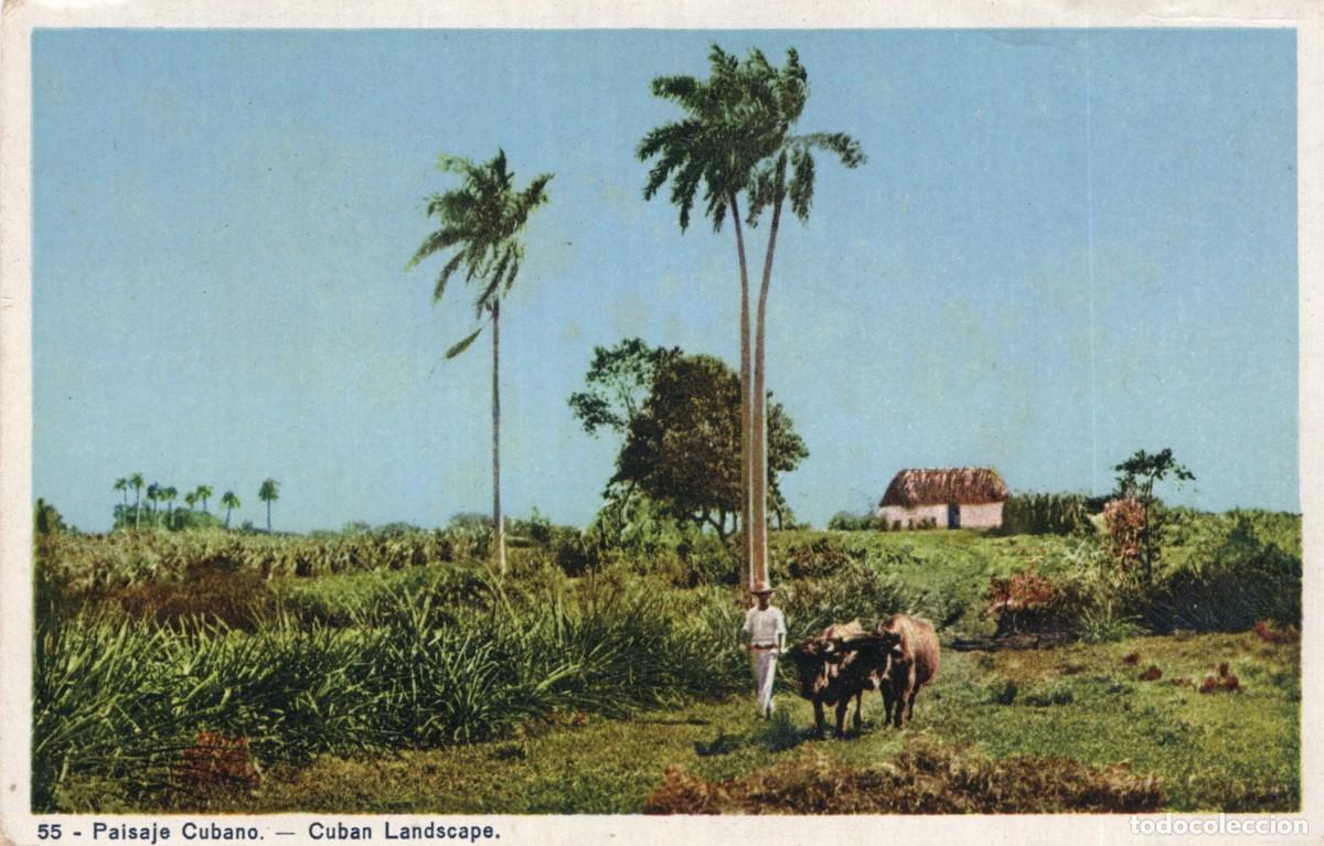 Sellos: CUBA. PAISAJE - Foto 1