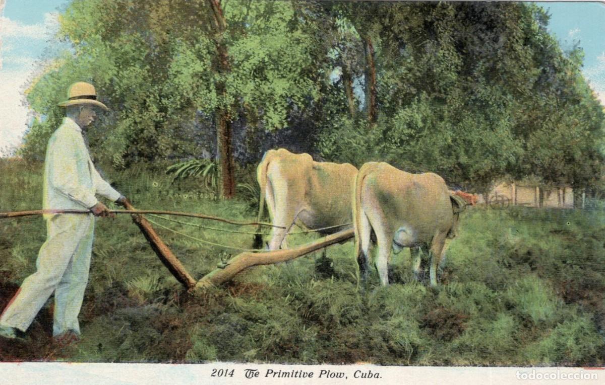 Sellos: CUBA. PRIMITIVE PLOW - Foto 1