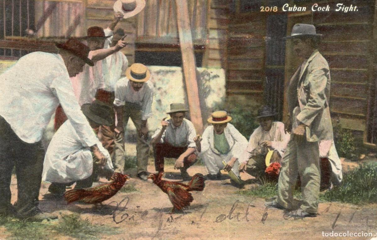 Sellos: CUBA. CUBAN COCK FIGHT - Foto 1